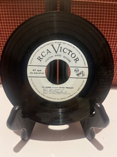 Guida presenta elvis - tv,